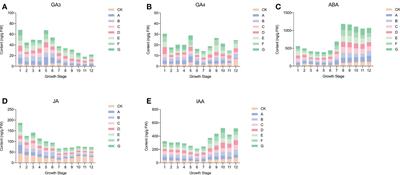 Joint metabolome and transcriptome analysis of the effects of exogenous GA3 on endogenous hormones in sweet cherry and mining of potential regulatory genes